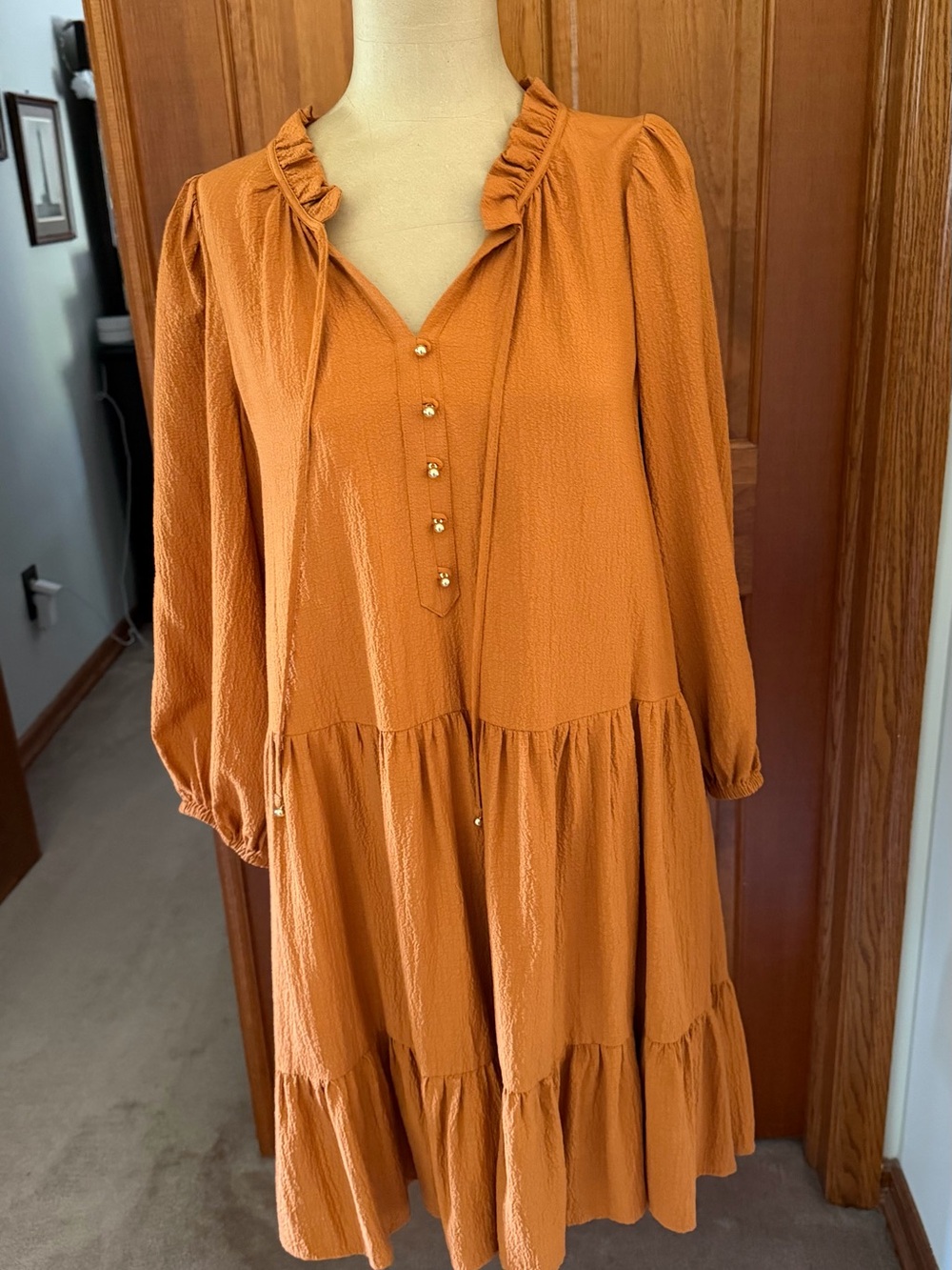 Calvin Klein Women's Ruffle Neck Tiered Dress - Rust